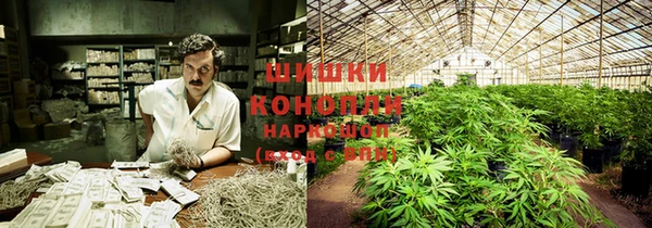 стафф Бородино