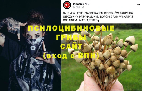 mdpv Бугульма