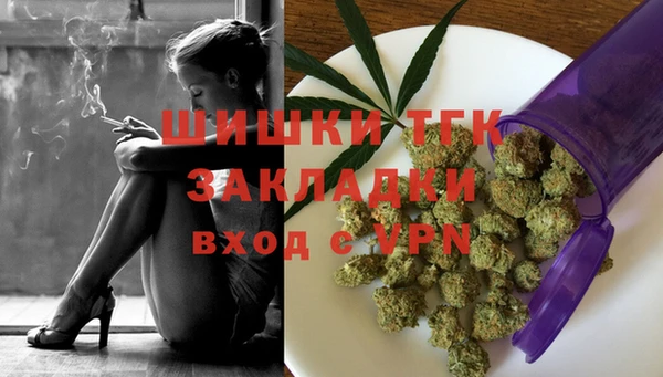 стафф Бородино
