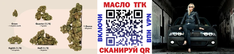 магазин    Выборг  ТГК концентрат 