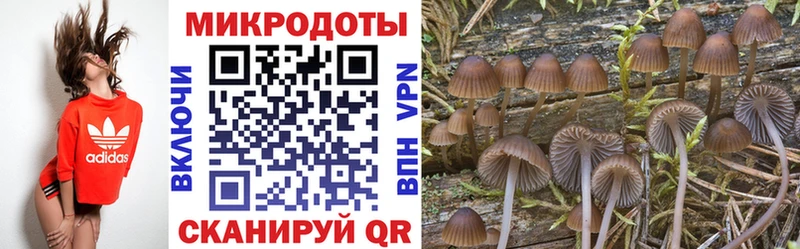 Псилоцибиновые грибы мухоморы  купить  сайты  мега ONION  Выборг 