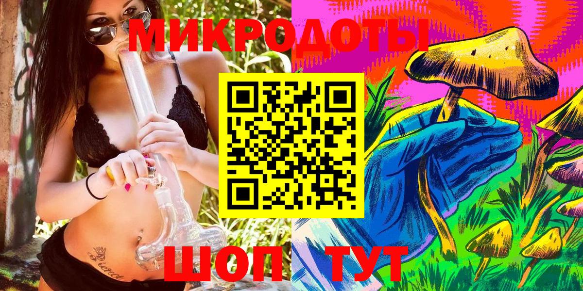 ГАШ Выборг