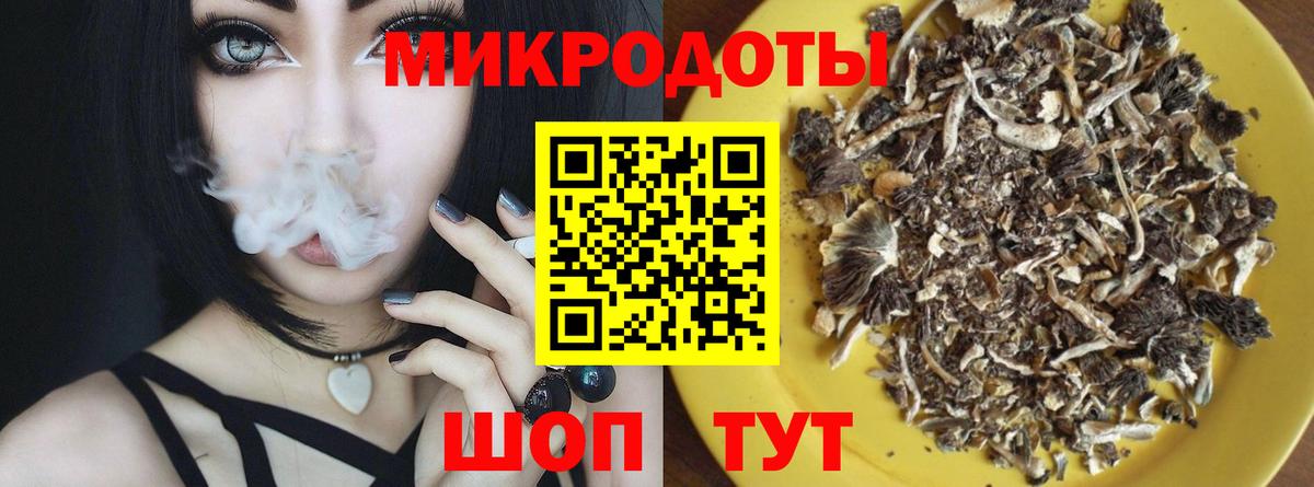 Галлюциногенные грибы Magic Shrooms  Псилоцибиновые грибы GOLDEN TEACHER  Выборг  Вход с VPN 
