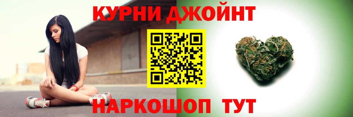 Бошки Шишки план Выборг